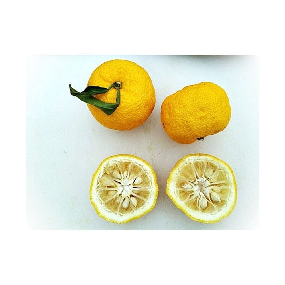 Notă de Yuzu