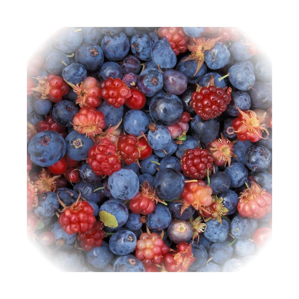 Notă de Fructe de Pădure
