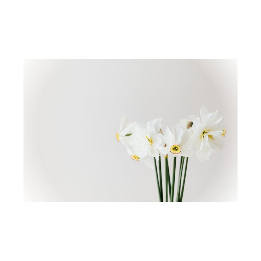 Notă de Narcisă