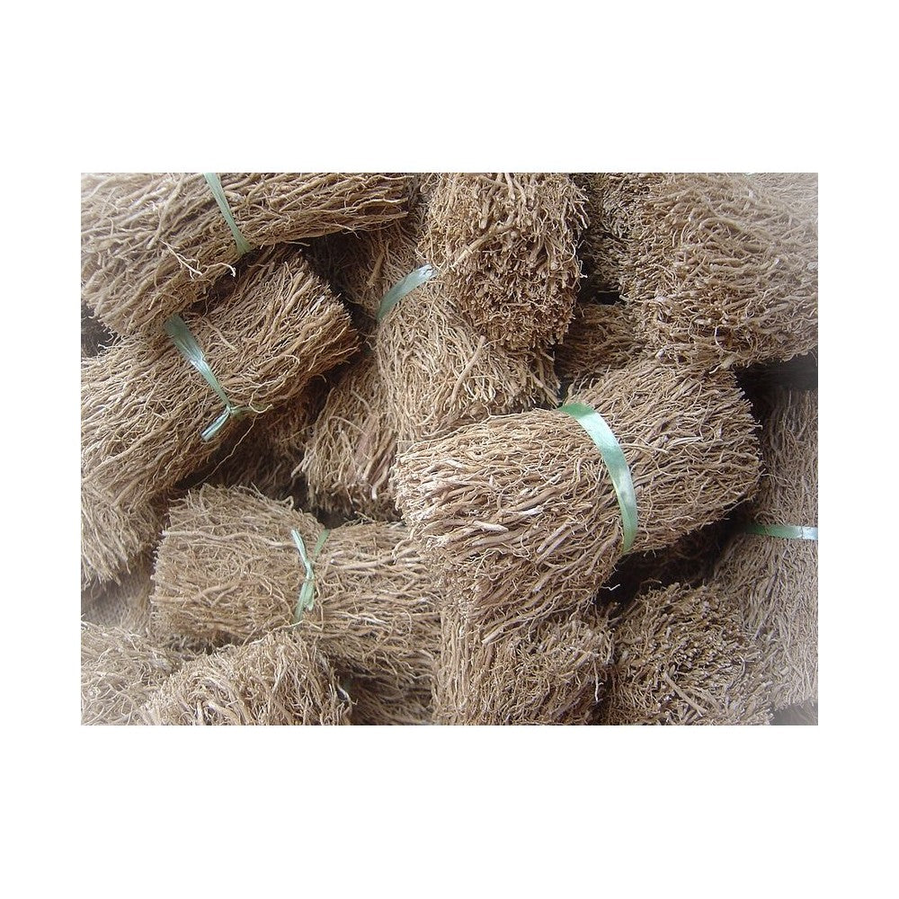 Notă de Vetiver